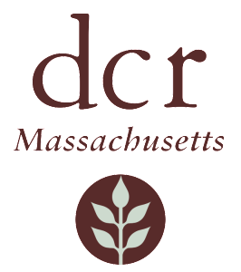 Mass_DCR