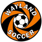 WAYS logo(1)