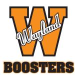boosters logo 2