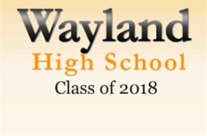 WHS2018