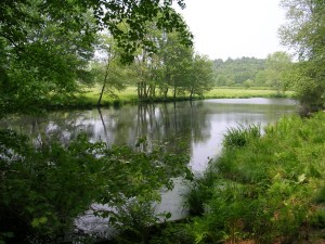 Photo of Hazel Brook Reservation by Joan Dwyer.