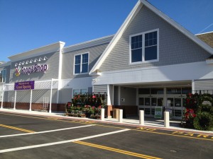 stopandshopwayland