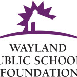 WPSF Logo and Name