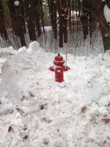 Photo from Wayland Fire Department Facebook page