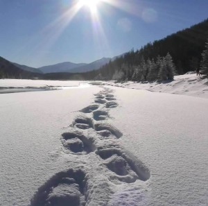 snowshoeing