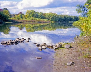 Sudbury River at Greenways - Wayland