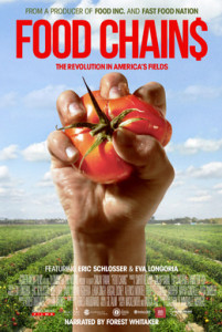 food chains