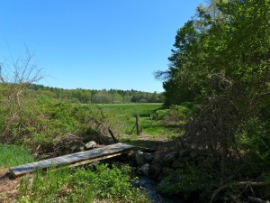 tracks in time