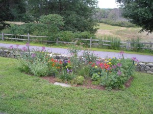 eco gardening