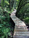 boy scout path