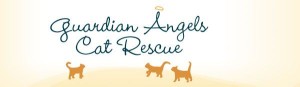 guardian angels cat rescue