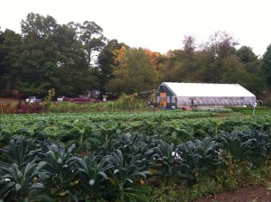 stearns farm