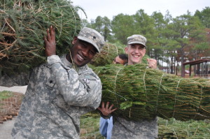 trees for troops