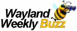 weekly buzz