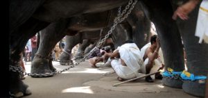 shackles