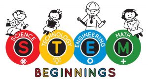 stem-beginnings