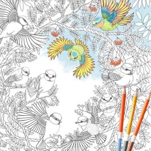 adult-coloring-2